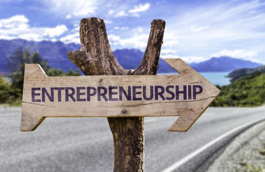Be your own boss: Entrepreneurship and the EU